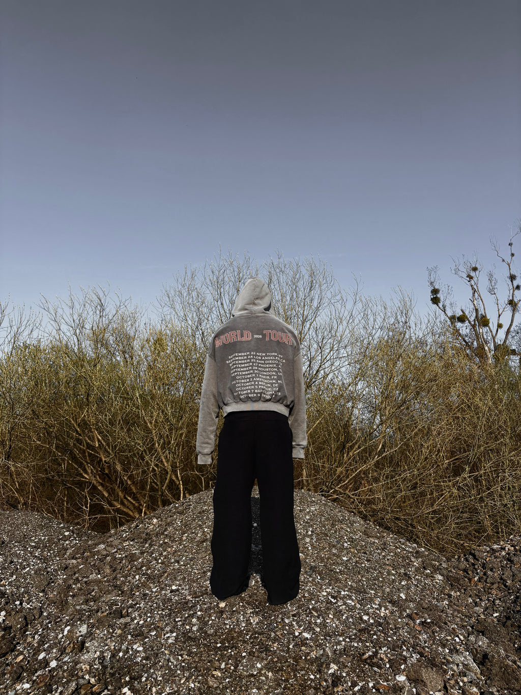 WORLD TOUR 2026 HOODIE