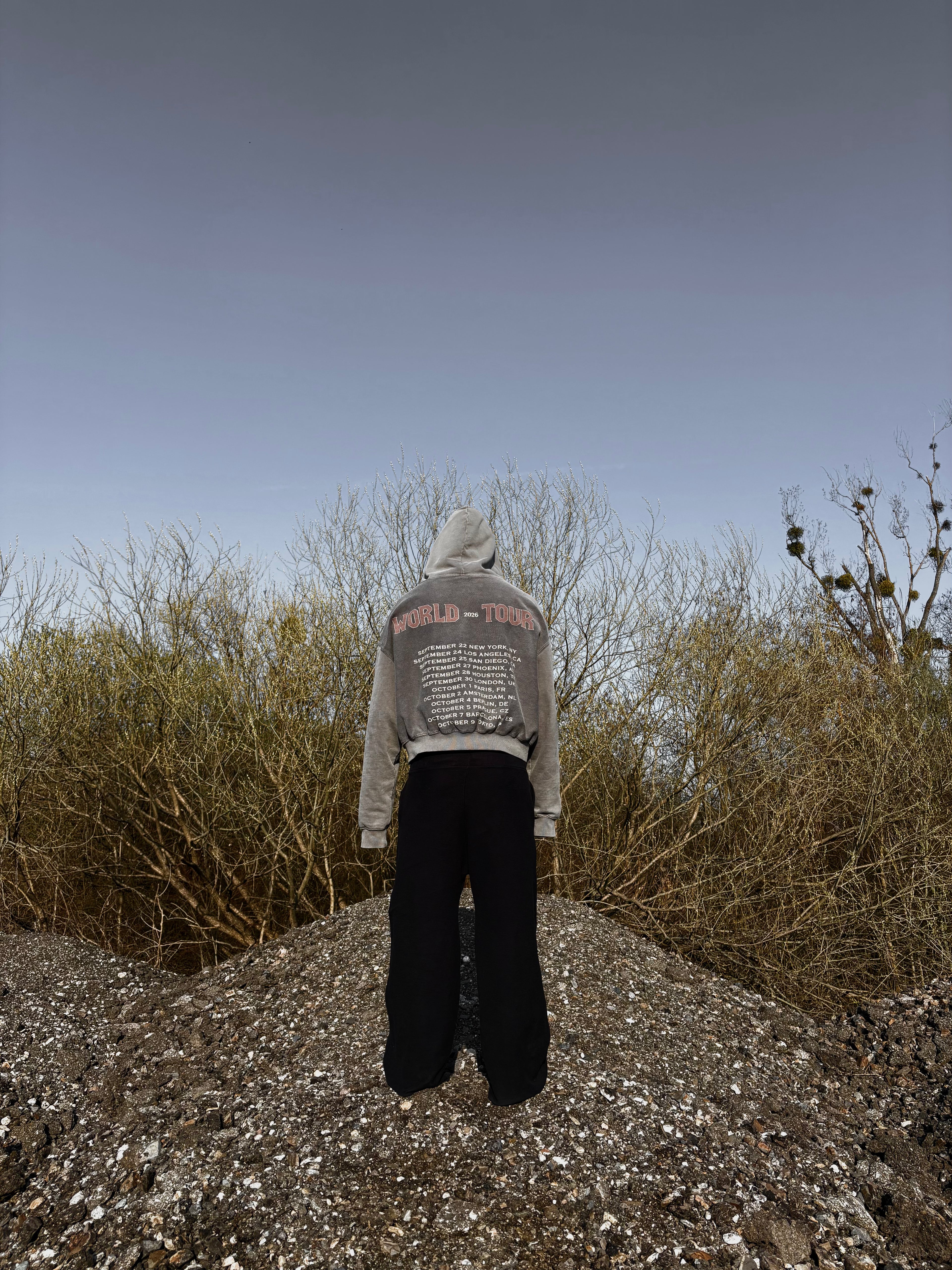 WORLD TOUR 2026 HOODIE