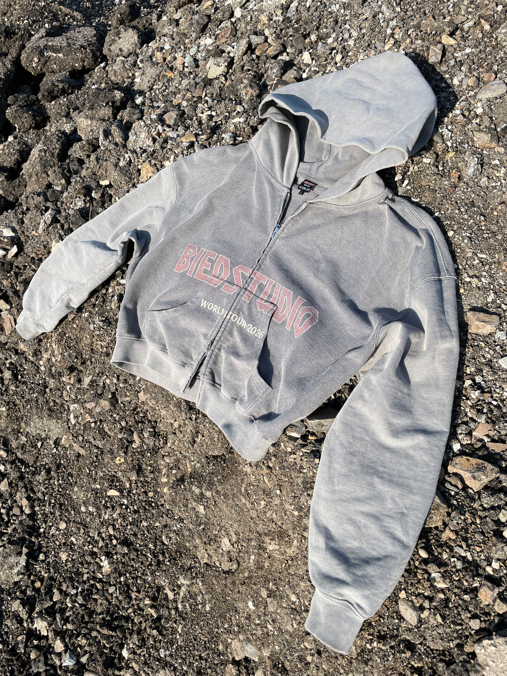 WORLD TOUR 2026 HOODIE