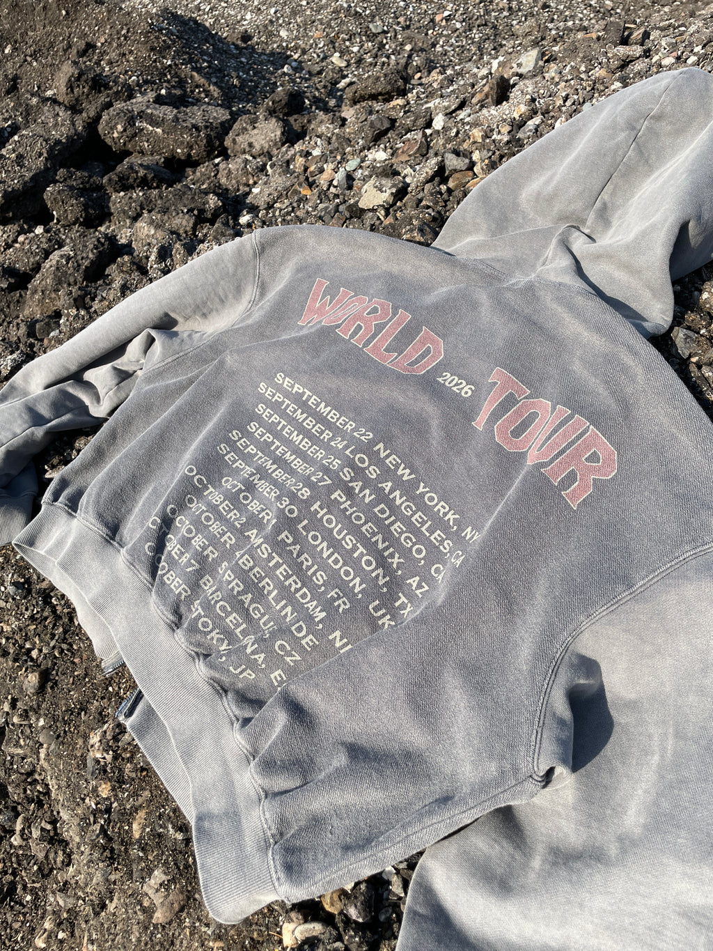 WORLD TOUR 2026 HOODIE