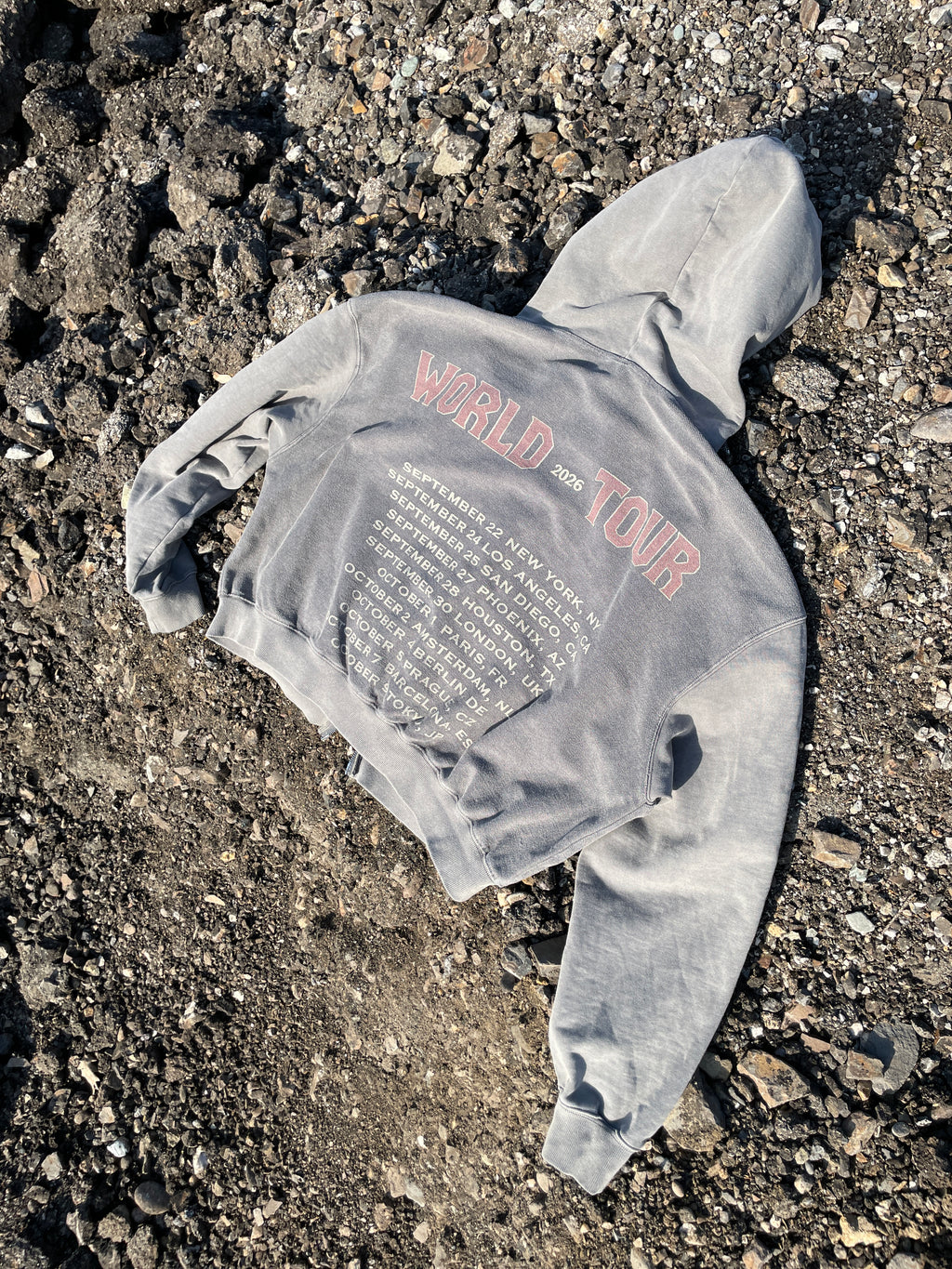 WORLD TOUR 2026 HOODIE