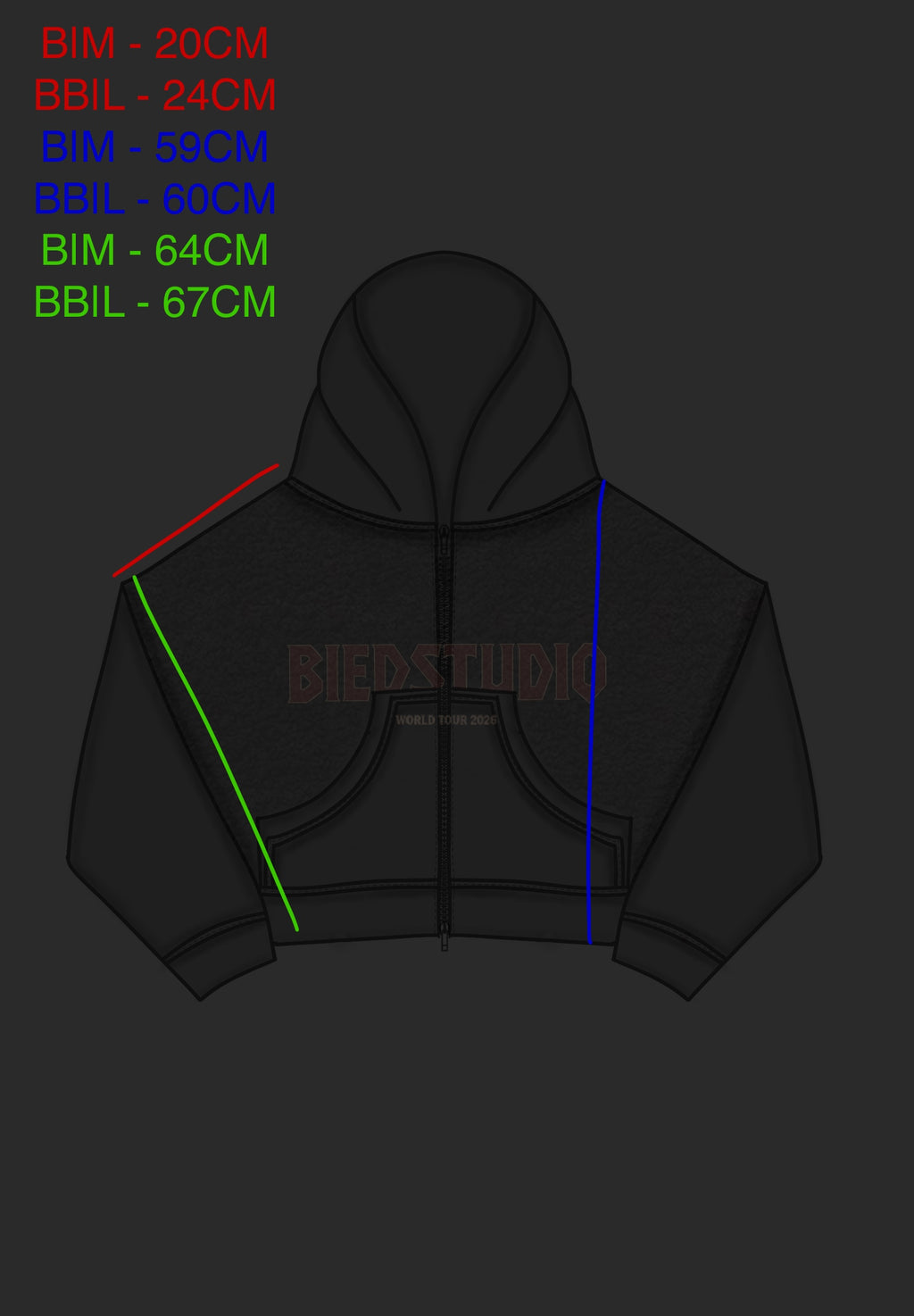 WORLD TOUR 2026 HOODIE